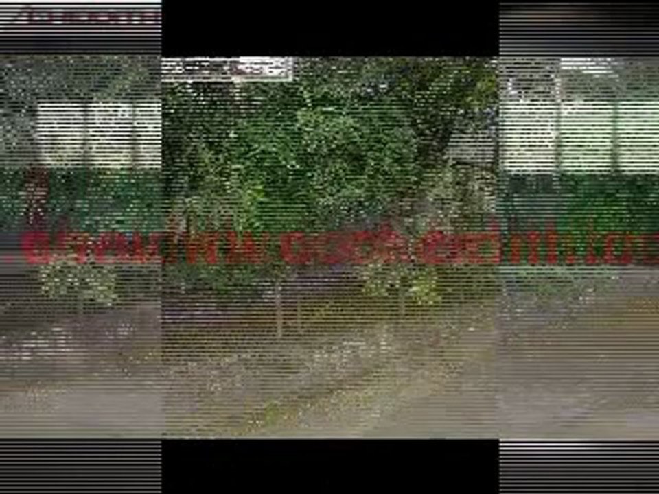 GALPAO INDUSTRIAL VENDE SANTANA (11-3232.1250)