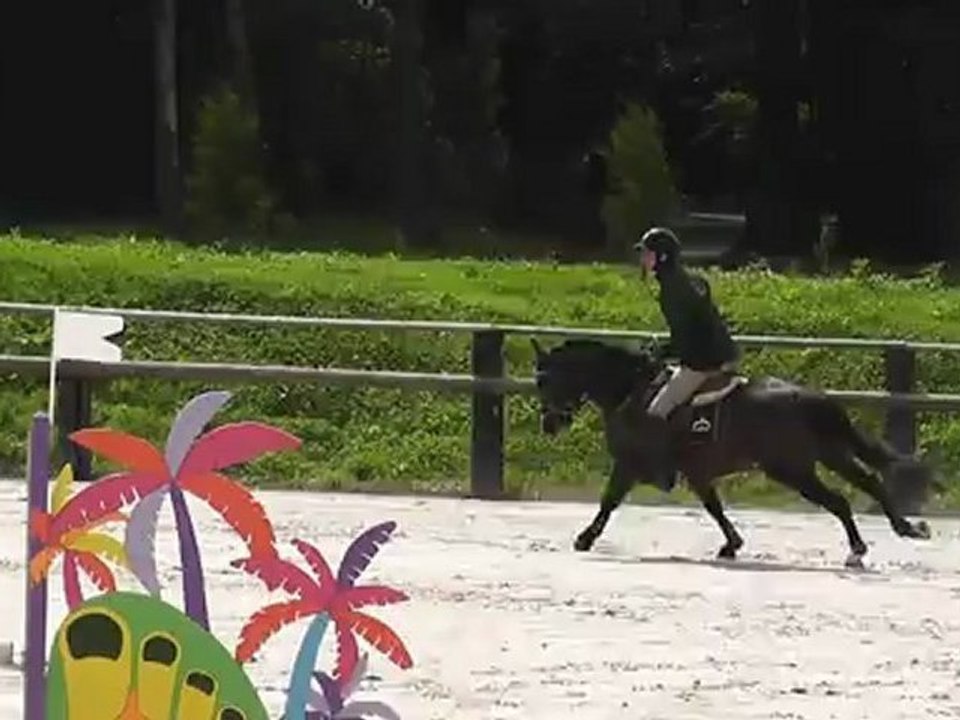 22.06.12 : Rap'Tout de la Tour - CSO La Houssaye - Prépa. 110