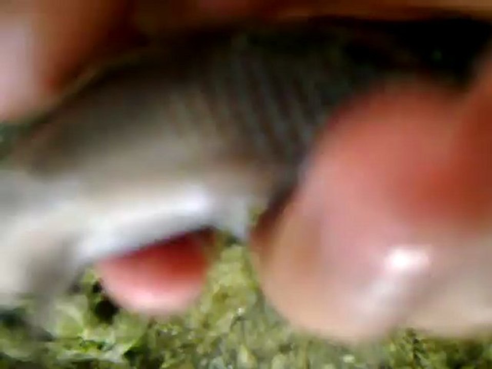 22052012012