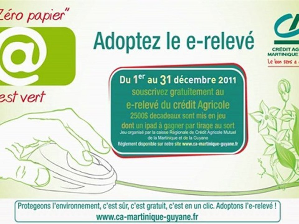 E-relevé