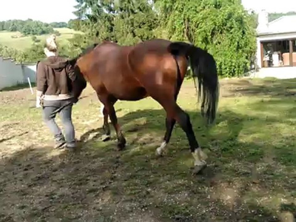 Copinou & Moi