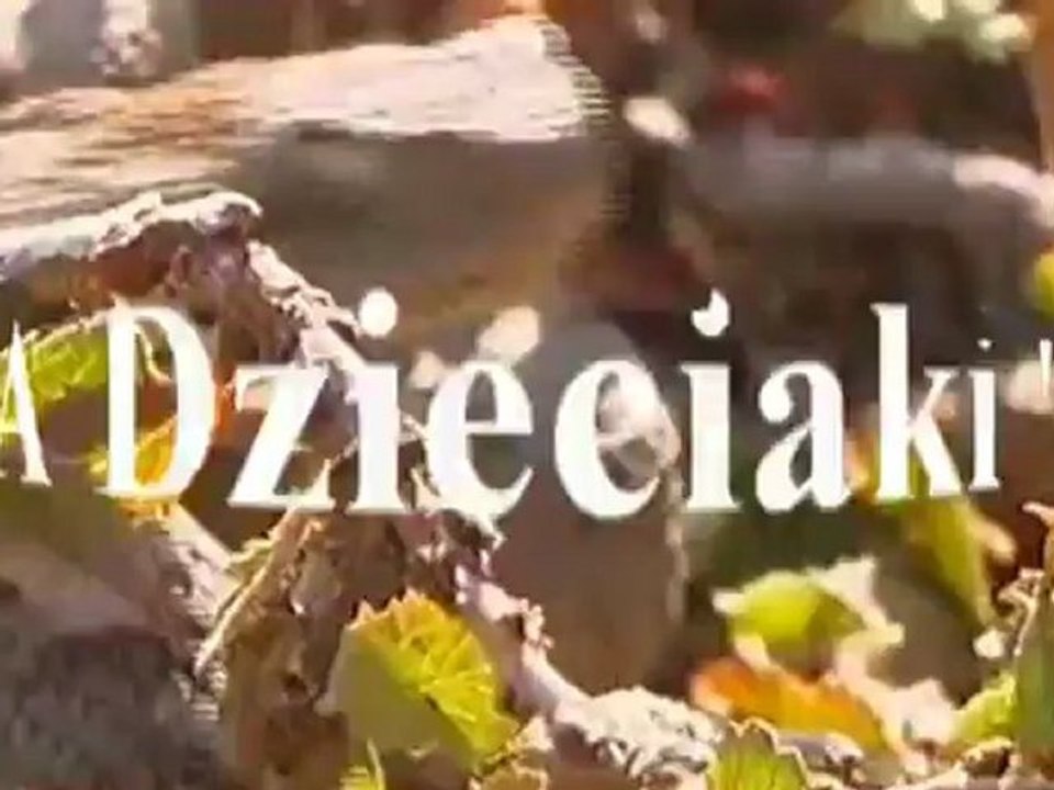 Stronygratis.pl - O co kaman