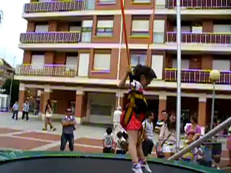 Elaia zeruraino