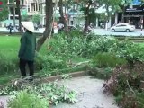 TP Vinh: Chặt tỉa cây xanh trước mùa mưa bão