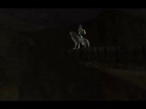 Zelda : Twilight Princess - Wii - 30-1/Caverne de l'Ordalie Partie 1