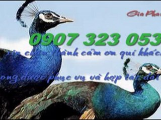 Cải tạo,sửa nhà tại quận tan binh  call 0907 323 053