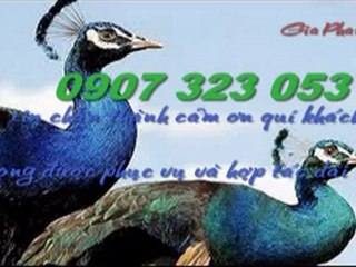 Cải tạo,sửa nhà tại quận thu duc call 0907 323 053