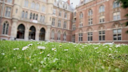 Collections d'entretien - Université Catholique de Lille - PG