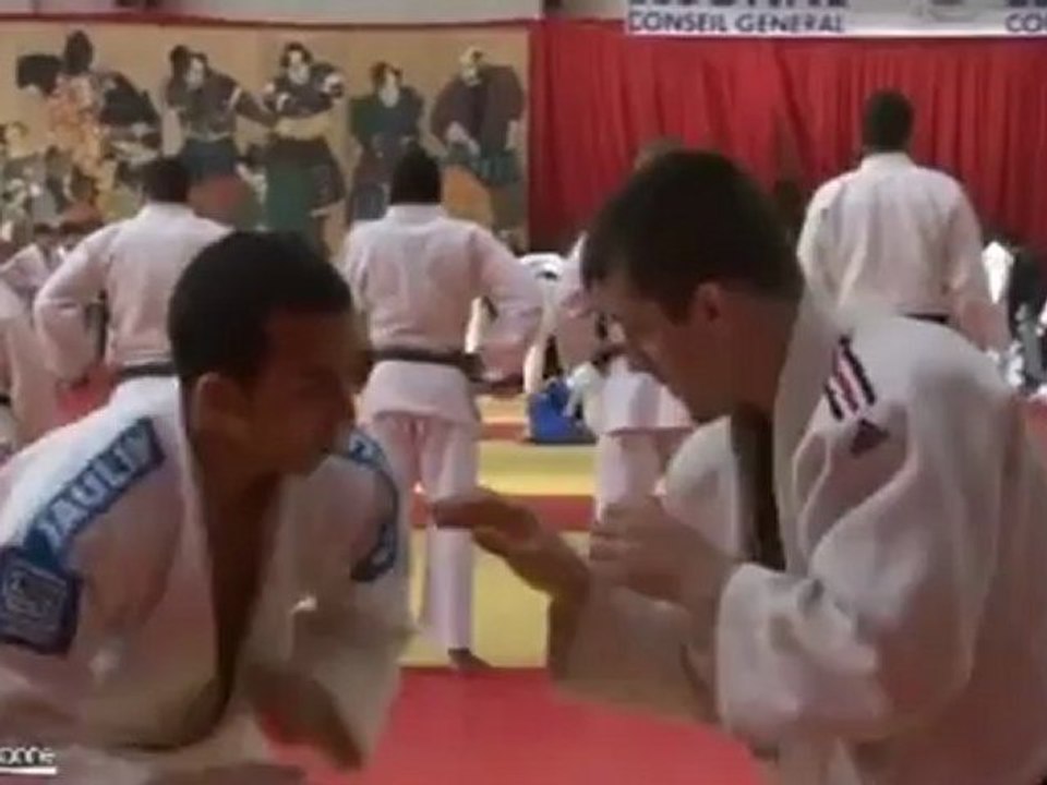 Judo: Farid BEN ALI poursuit son retour (Essonne)