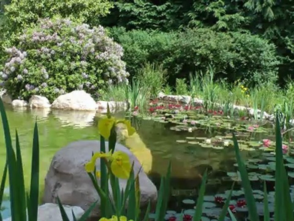 Bassin 2ème saison good