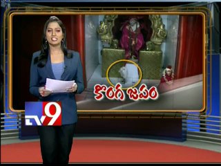 Crane in Saibaba temple surprises many