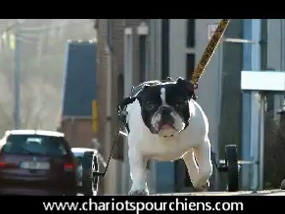 bill avec son chariot