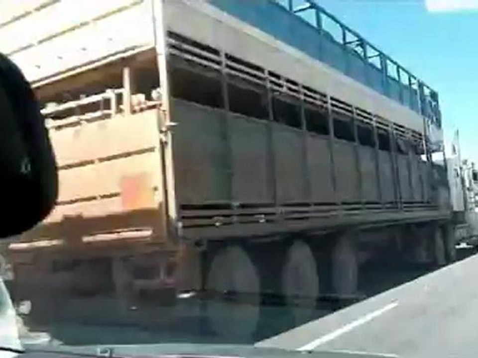 ROAD TRAIN