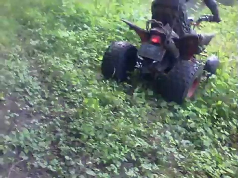 QUAD