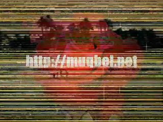 ۩ Le chirk nexiste pas dans la péninsule arabique  - Shaykh Mouqbil Ibn Hâdi Al Wâdiî ۩