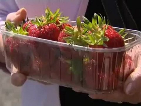 Un distributeur de fruits et légumes frais à la Bohalle (49)