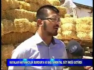 KAYALAR DANIŞMANLIK 02482341177