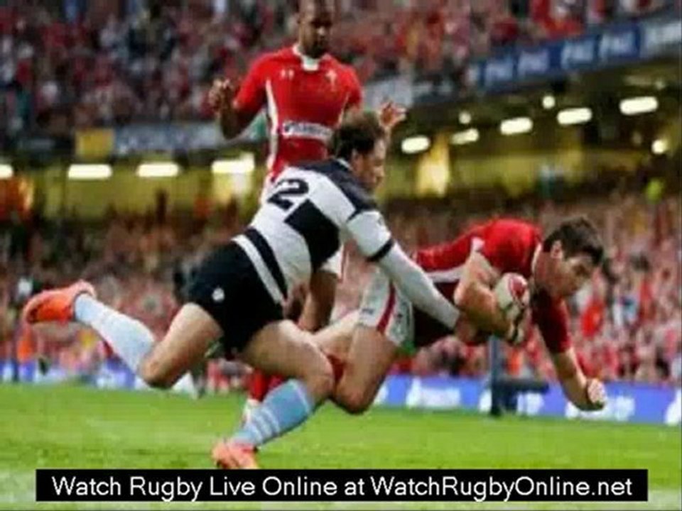 watch online New Zealand vs Ireland online live