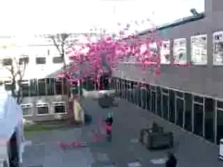 Luftballon FAIL