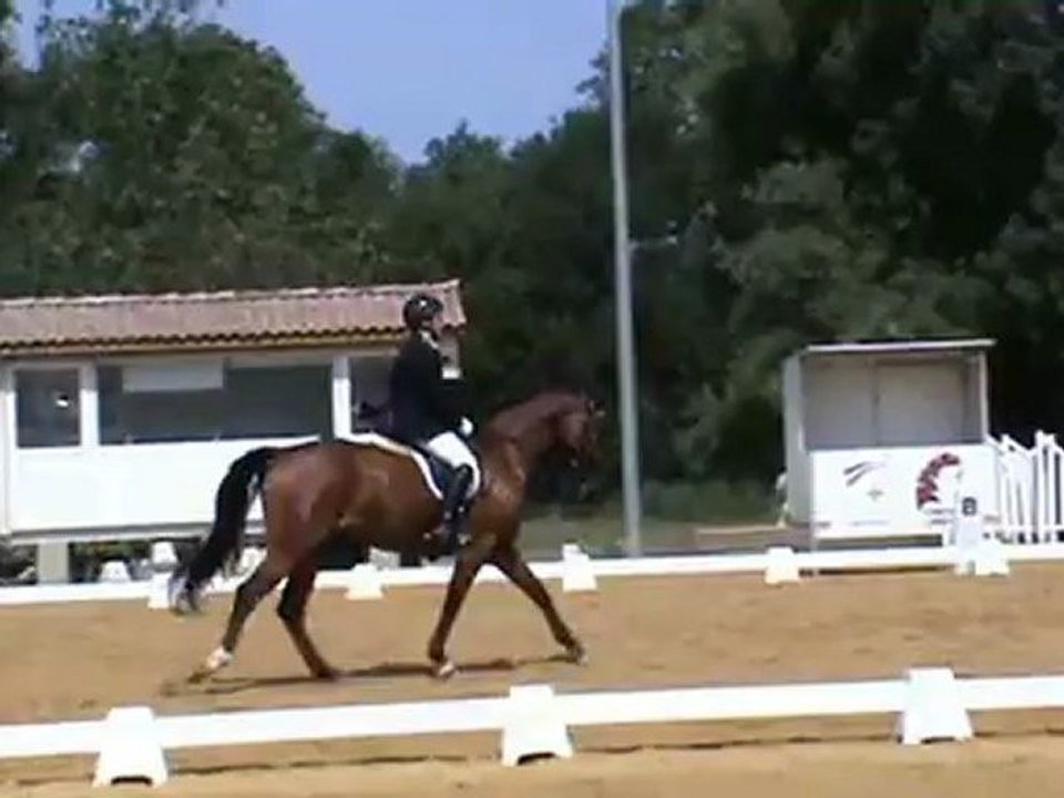 Freddie Dress ENVT