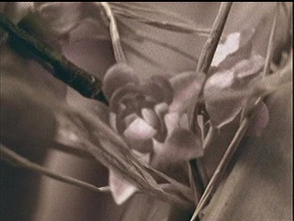 Emilie Simon - DESERT - LE CLIP