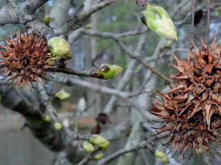 To all my Facebook friends & relatives.