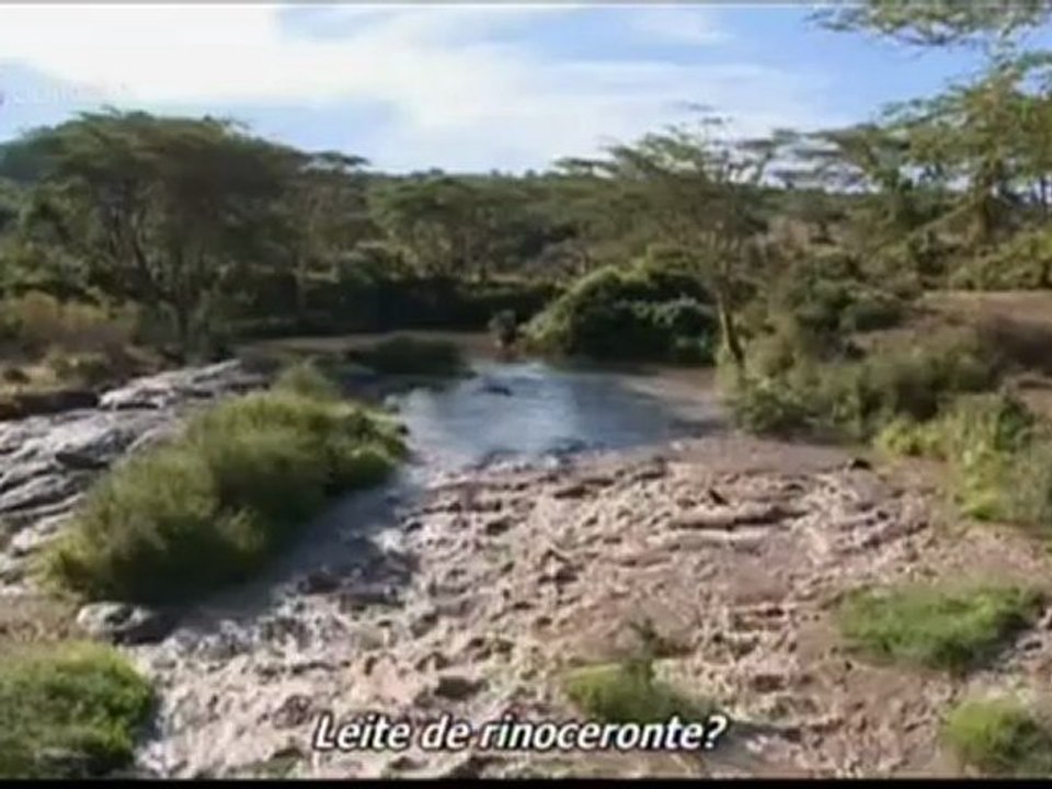 Bebidas.Do.Mundo.O.Leite.TvRip.H264.docsPT.