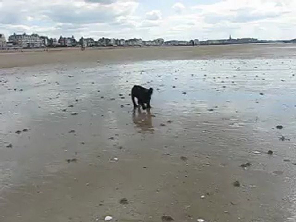 Hermione sur le sable