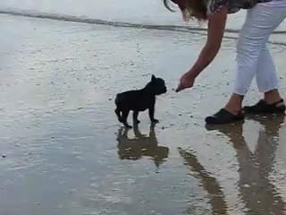 Hermione - 1ère baignade