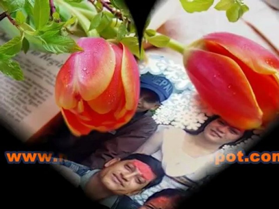 Jaaniya remix, Ek Tha Tiger 2012