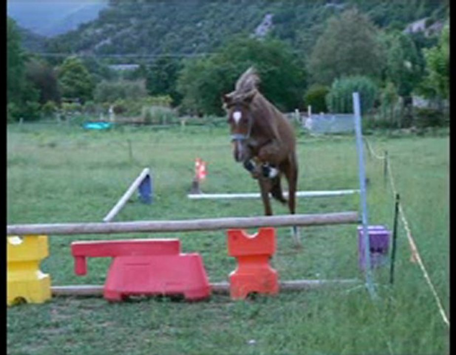 Sauts en liberté Kelly et Aïoli du Lou.