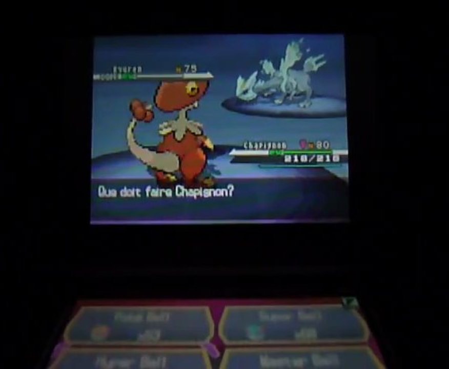 Pokémon Noir : Mizako chope Kyurem