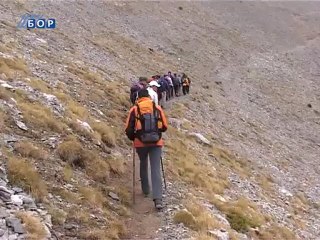 Zeleni ekran, 12. oktobar 2011.