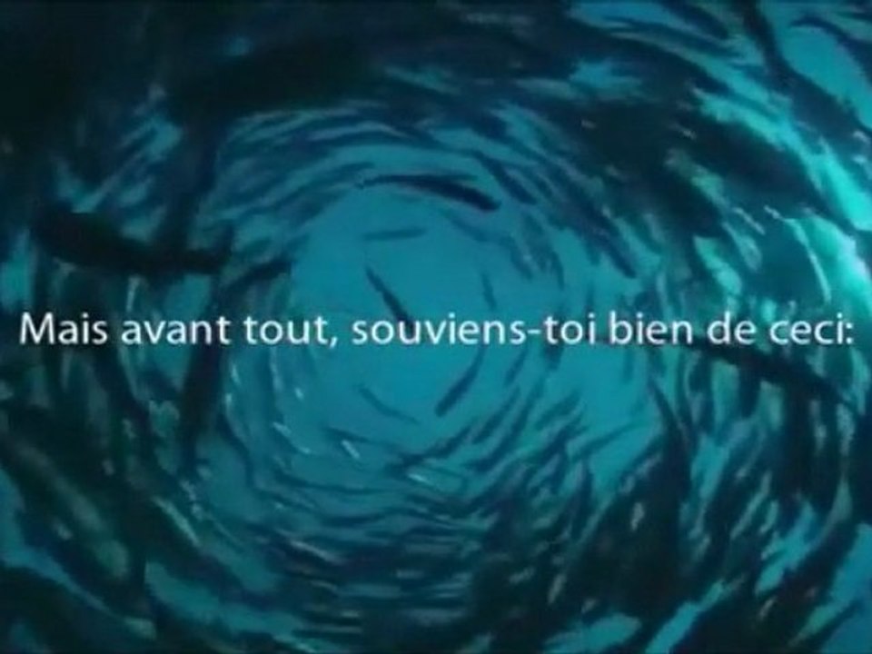 N’abandonne jamais