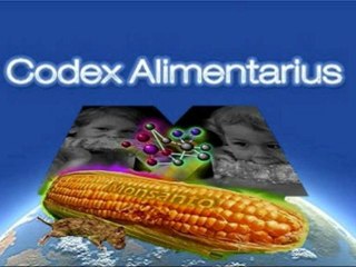 HEBREW BIBLE ACADEMY - THE BREAKDOWN  OF MODERNDAY CHRISTIANITY