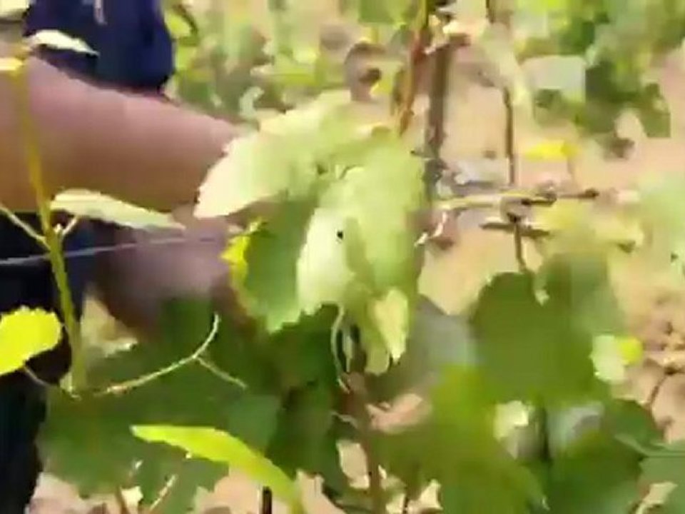 Upper Middle Rhine Valley | Discover Germany