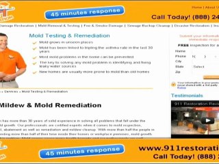 Mold Remediation West Palm Beach - Call Now (561)283-0705