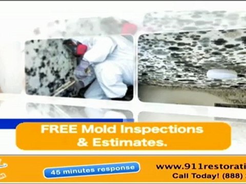 Mold Remediation Portland - Call today (503)360-1858