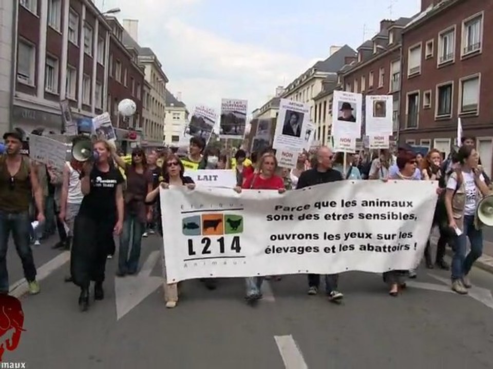 Manifestation contre la création d'un élevage de 1000 vaches et 750 veaux (23.06.2012)