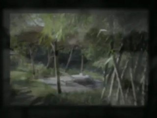 Where Are The Best Bali Beach Villas?