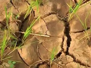 North Korea drought crisis