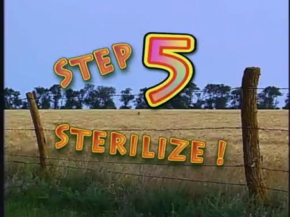 Let's Grow Mushrooms! 1.3 - 5 Steps to Perfect Grain Spawn