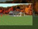 Bunk Cabin And Cottage Bunk House Plans