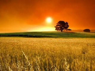 Dire sadaqa Allah ul-Adhim - Cheikh Salih Al-Fawzan