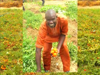 visite dagana fanaye 2