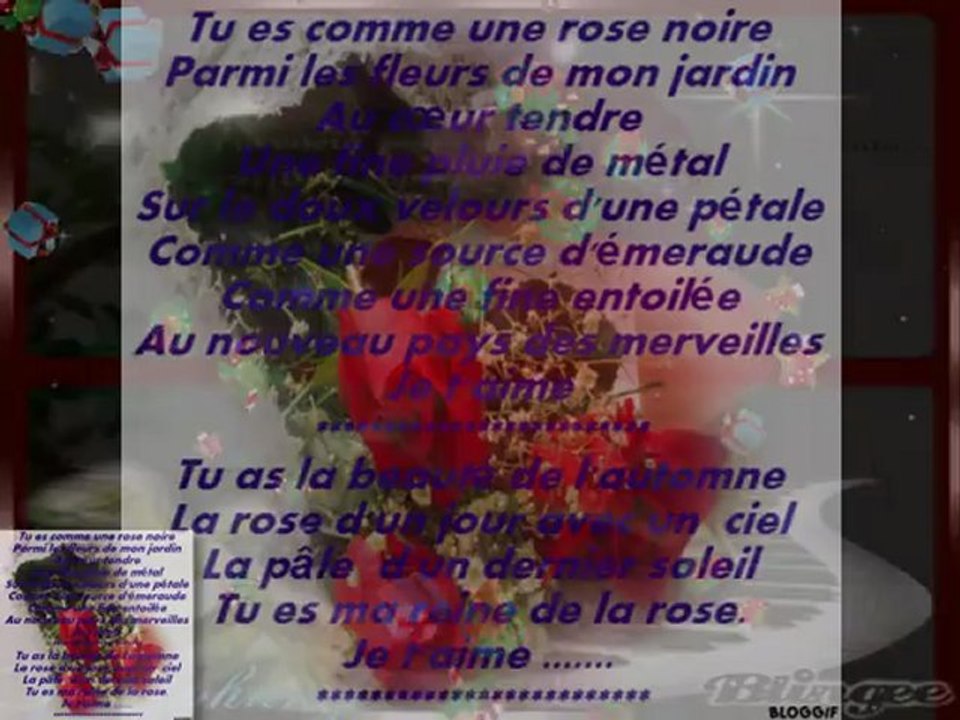 L'amour est comme une rose