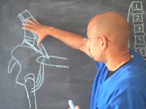 Quiropractico Atlanta / Gainesville GA - Estire Este Musculo Para Aliviar el Dolor de Espalda Baja - Quiropractico Gainesville GA