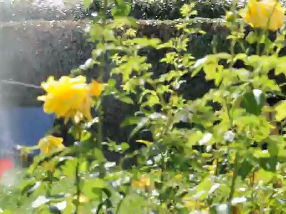 Liam et Sofian jouent avec l'eau