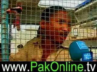 Raid on Dawn News (Pressure wala Gosht) – 24th June 2012_5