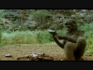 ESCUELA DE VIOLENCIA: DROGADICCIÓN (DOCUMENTALES CALPULLI)